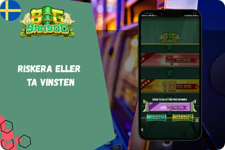 Bigbamboo gamble wheel free spins risk